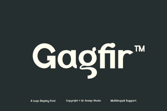 Gagfir: A Typeface That Commands Attention in Every Design